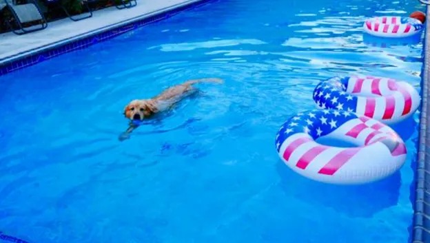 Gather Around Your Biloxi, Ms Swimming Pool This Fourth of July